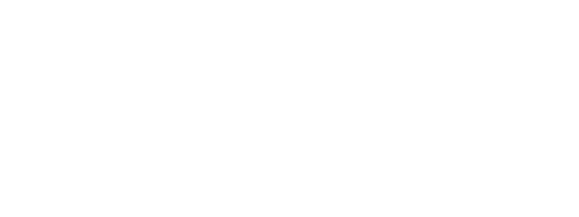 Rise logo